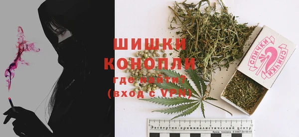 сатива Балахна