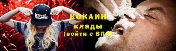 сатива Балахна