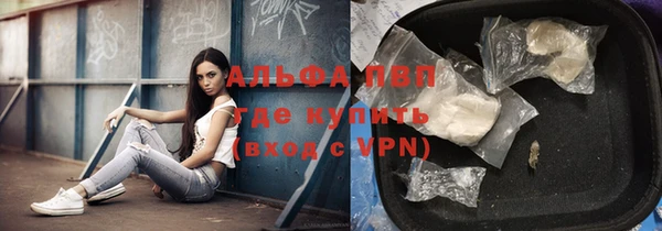 сатива Балахна