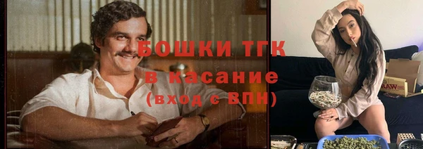 сатива Балахна