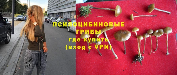 сатива Балахна