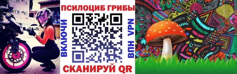 Галлюциногенные грибы Psilocybe  Курлово 